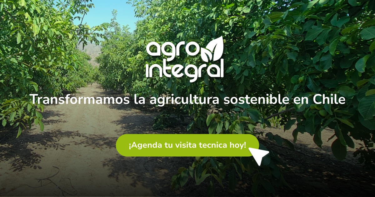 15 Beneficios del uso de Silicio en la Agricultura